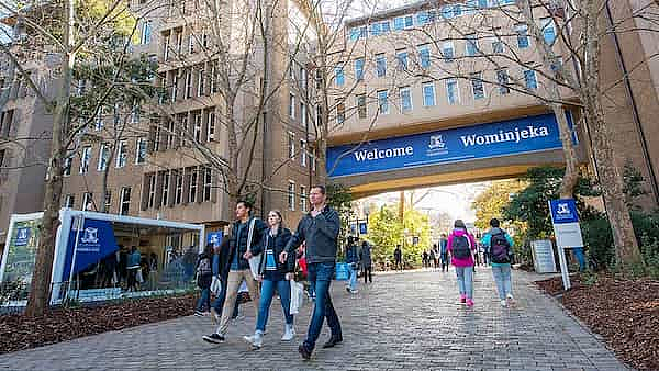 港大教授炮轰“恐华言论”：澳洲大学正为此付出高昂代价（组图） - 4