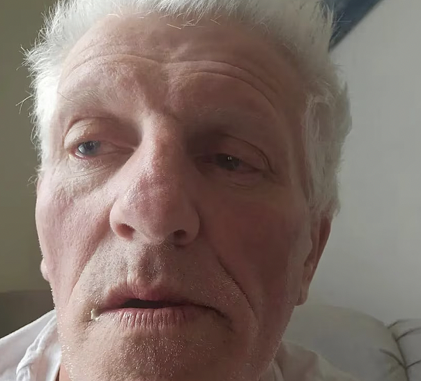 残忍！悉尼男子将两只狗锁高温储物柜致其热死，当庭承认八项虐待动物罪（组图） - 5