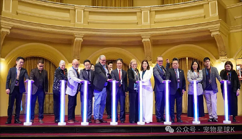【2026全球青少年科技 × 艺术节】将于西澳盛大启幕（组图） - 21