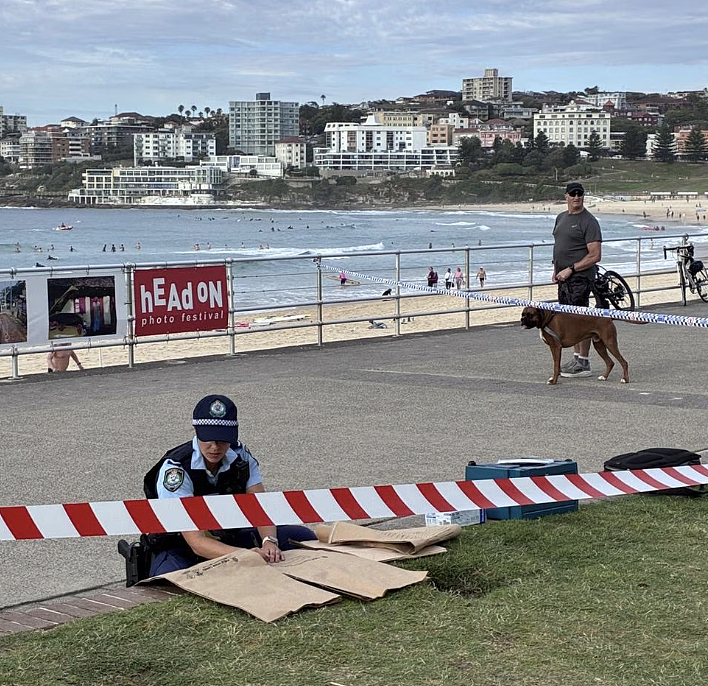 悉尼Bondi Beach现反犹太涂鸦，警方介入调查并逮捕一名38岁男子（组图） - 2