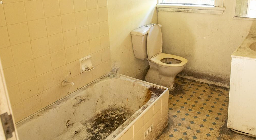 悉尼“鬼屋级”破屋卖出近$390万！墙塌地陷仍遭疯抢，重建还要$200万（组图） - 3