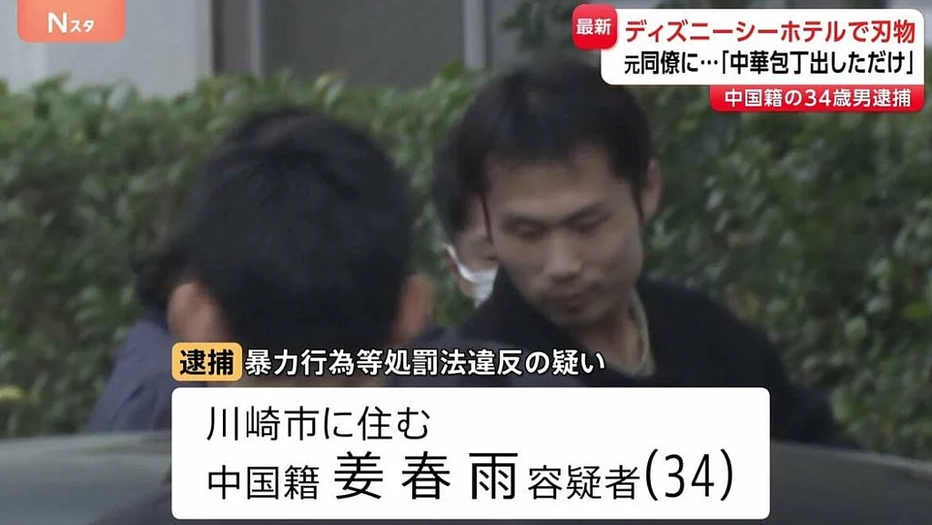 突发！30岁华裔男子挥舞20厘米长刀，闯入东京迪士尼（视频/组图） - 4