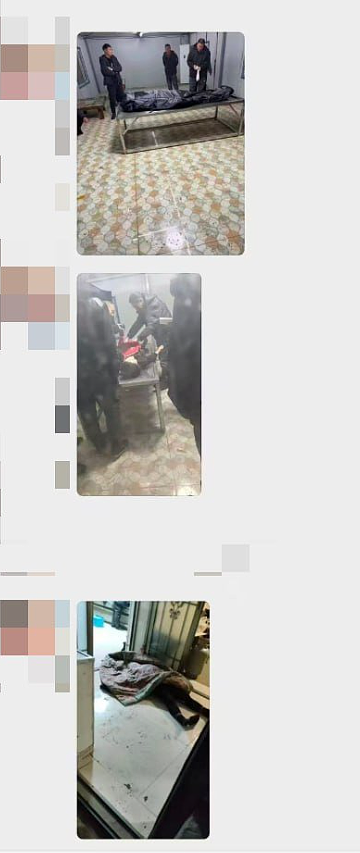 吉林涉恶性杀害9人的嫌犯已被抓获视频曝！村民：他当时躲在麦秸后，现场还遗留一只鞋子（组图） - 11