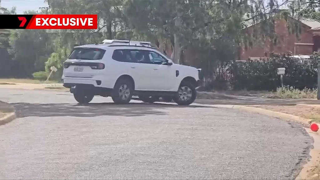 骇人！澳洲突发“狗咬人”事件，女子遭自家宠物狗撕咬身亡（组图） - 2