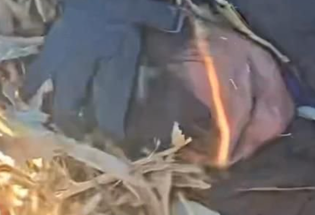 吉林涉恶性杀害9人的嫌犯已被抓获视频曝！村民：他当时躲在麦秸后，现场还遗留一只鞋子（组图） - 1
