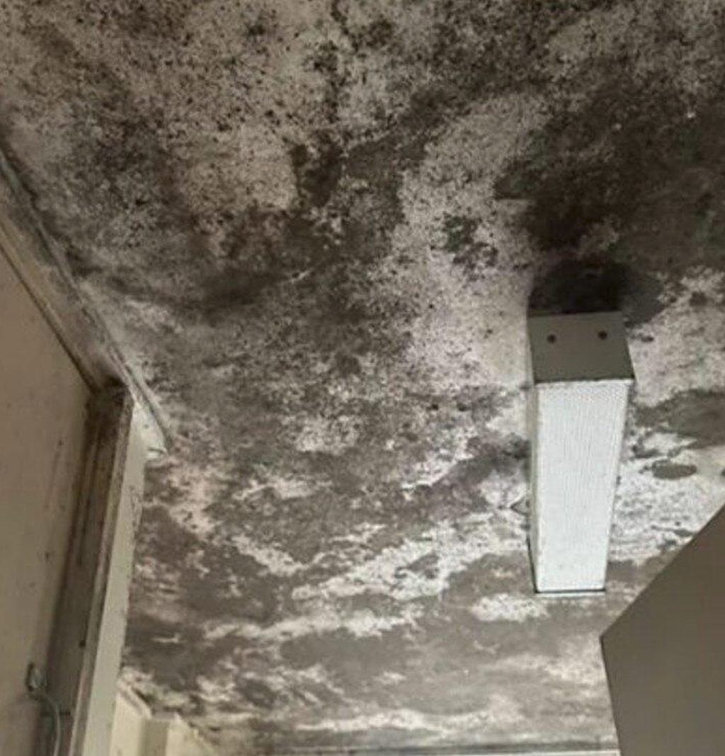 注意!在澳买房避开这些“不健康”地区,直接影响你的寿命(组图) - 1