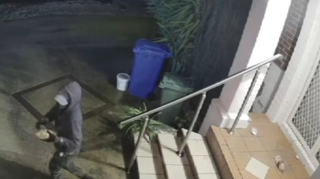 “她想杀我全家” 澳华女不满被驱逐，纵火报复房东！车房都烧（视频/组图） - 3