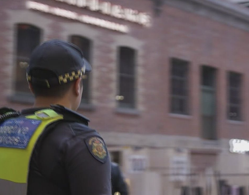 为期90天！墨尔本警方圣诞季严打购物中心犯罪，四家商场将成武器搜查重点（组图） - 3