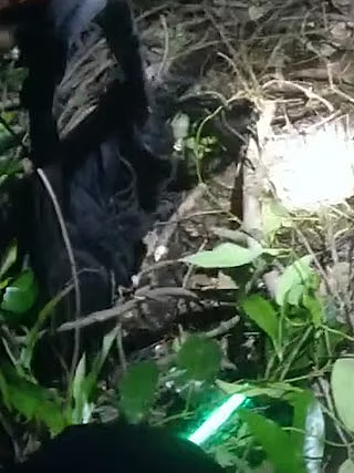 澳购物中心附近发生枪击案，男子中弹当场身亡！嫌犯藏身水下被捕（组图） - 4