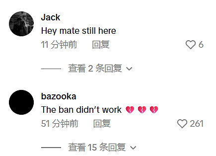 澳洲社媒“限龄令”刚生效即失效？总理TikTok账号被冲！大批“未成年”留言：我还在这（视频/组图） - 4