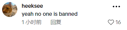 澳洲社媒“限龄令”刚生效即失效？总理TikTok账号被冲！大批“未成年”留言：我还在这（视频/组图） - 5