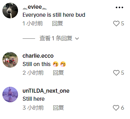 澳洲社媒“限龄令”刚生效即失效？总理TikTok账号被冲！大批“未成年”留言：我还在这（视频/组图） - 6