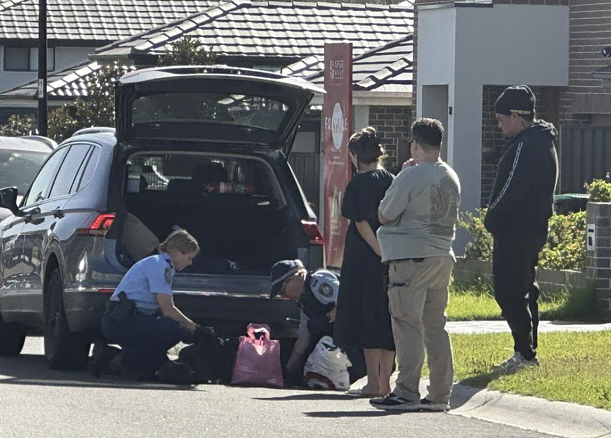 震撼弹、上膛枪、手榴弹！悉尼少年团伙涉嫌暴力入室未遂，遭重罪起诉（组图） - 5