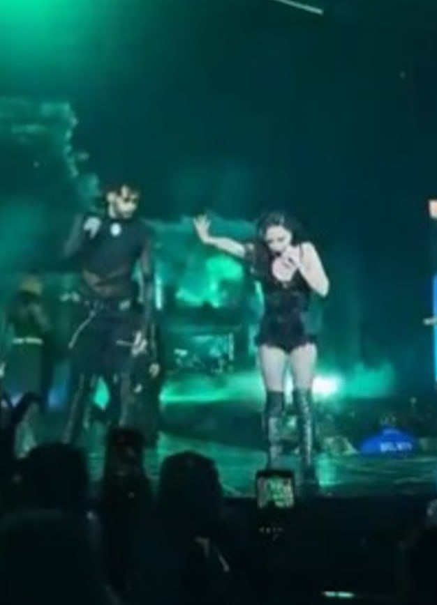 Lady Gaga悉尼演唱会突发意外！伴舞跌落舞台，演出被迫暂停（视频/组图） - 4