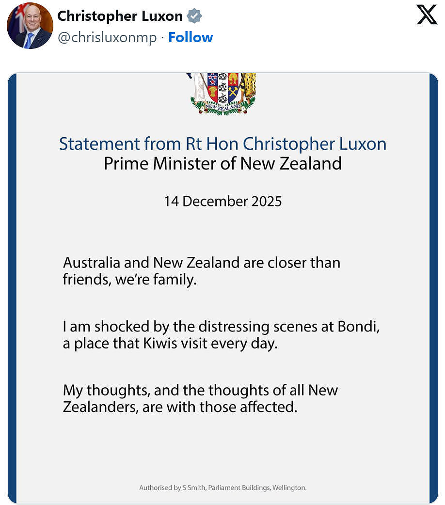 Bondi恐袭震惊世界!各国领导人发声谴责,以色列政客群批澳政府未能遏制反犹势力(组图) - 7