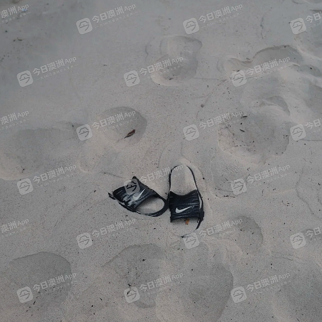 “离死神最近的一次！”众多华人亲历邦迪海滩枪击惊魂，与枪手擦肩而过！“今天就交代在这了！”（视频/组图） - 6
