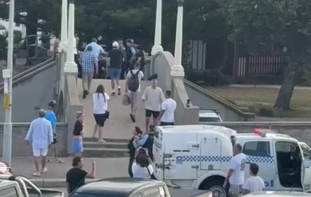 Bondi恐袭完整视频曝光！6分钟内枪声超百次，恐怖瞬间全记录（组图） - 4