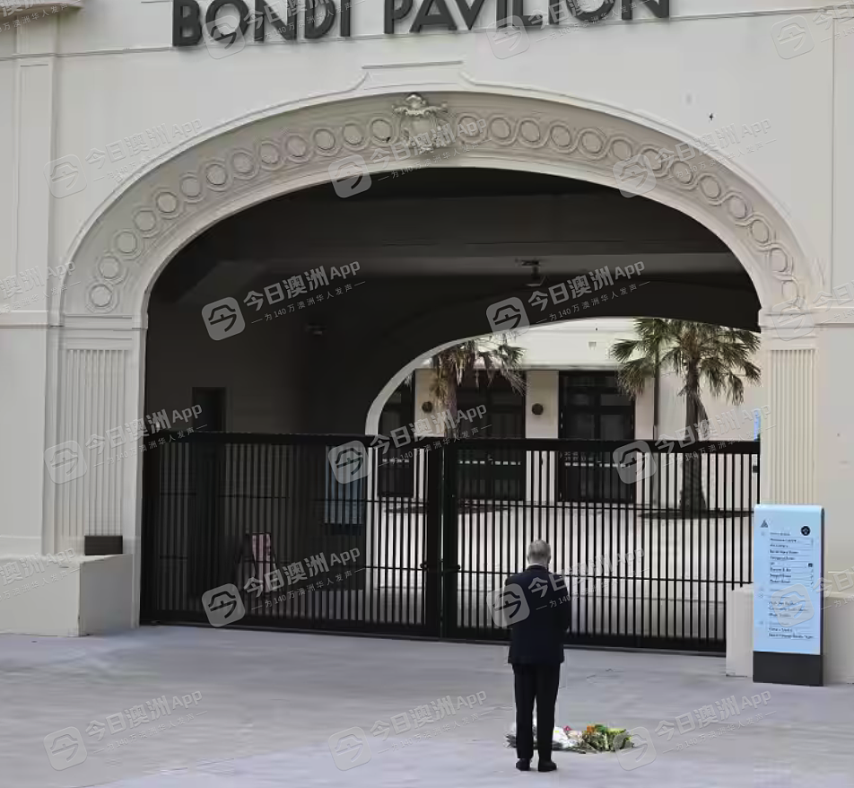 悲恸！悉尼民众自发悼念恐袭死难者，Bondi海滩已成花海！华人沉痛哀悼，“不再仇恨，更多爱”（视频/组图） - 26