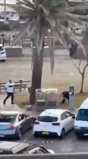 悉尼邦迪海滩枪击案:枪手父子作案前曾赴菲律宾一个月,澳警调查动机(组图) - 7