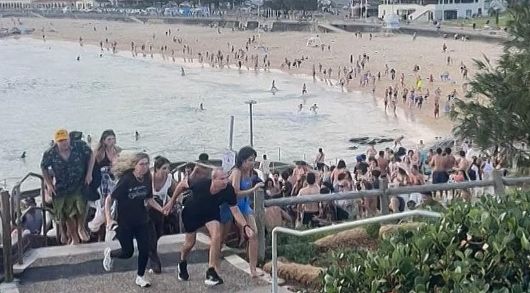 Bondi枪手拒绝接受审问！警方提出59项指控，含谋杀及发动恐袭（组图） - 3