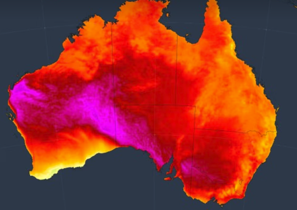 热浪来袭!悉尼气温直逼40℃,气象局发布警告(组图) - 1