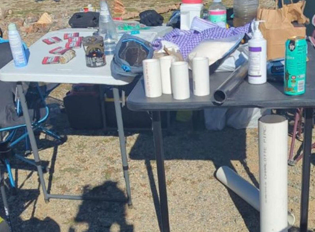 策划跨年夜在洛杉矶发动恐袭！华女遭FBI逮捕，已制作多个炸弹（组图） - 3