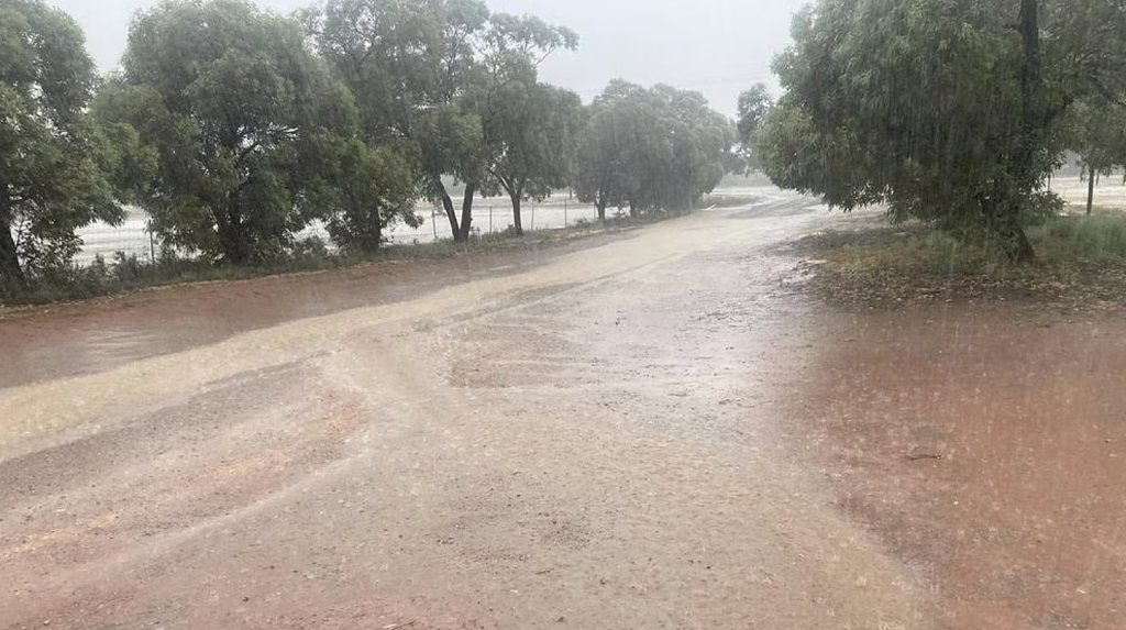 严重雷暴席卷新州！多地街道瞬间变河流，气象局发警报（组图） - 4