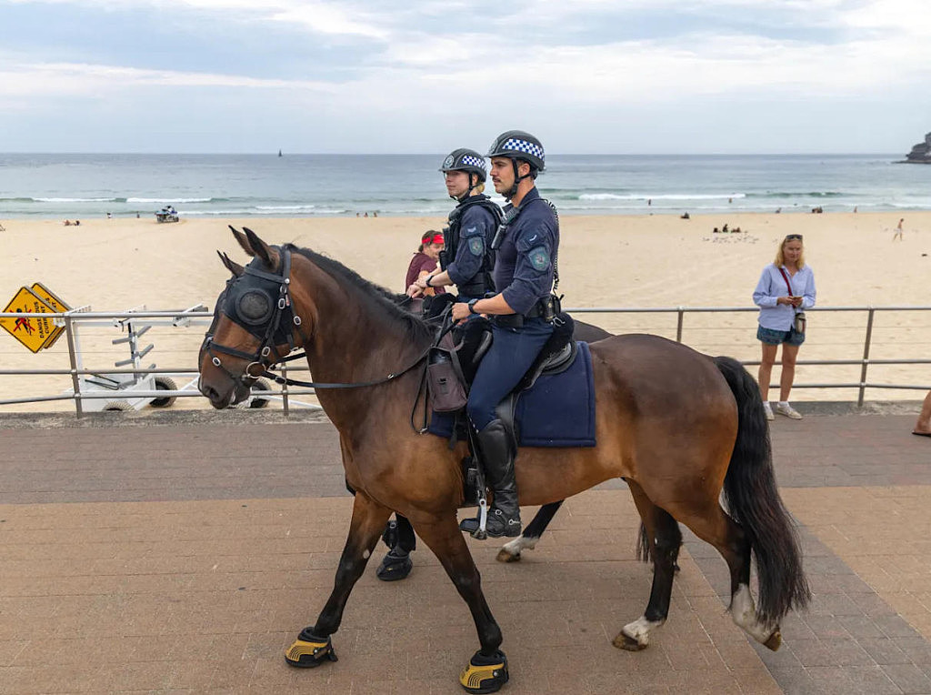 【邦迪恐袭】警方称枪手父子不属于恐怖组织；夺枪英雄再度入院（视频/组图） - 45