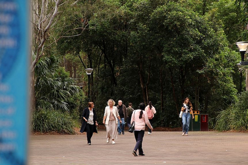 卧龙岗大学裁员，中文课程取消！学生被迫放弃学位（组图） - 2