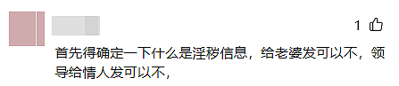 夫妻间发送淫秽信息也违法?中国网络新规上路引爆热议,胡锡进发声:没有对性的兴趣,生育如何提高?(组图) - 6