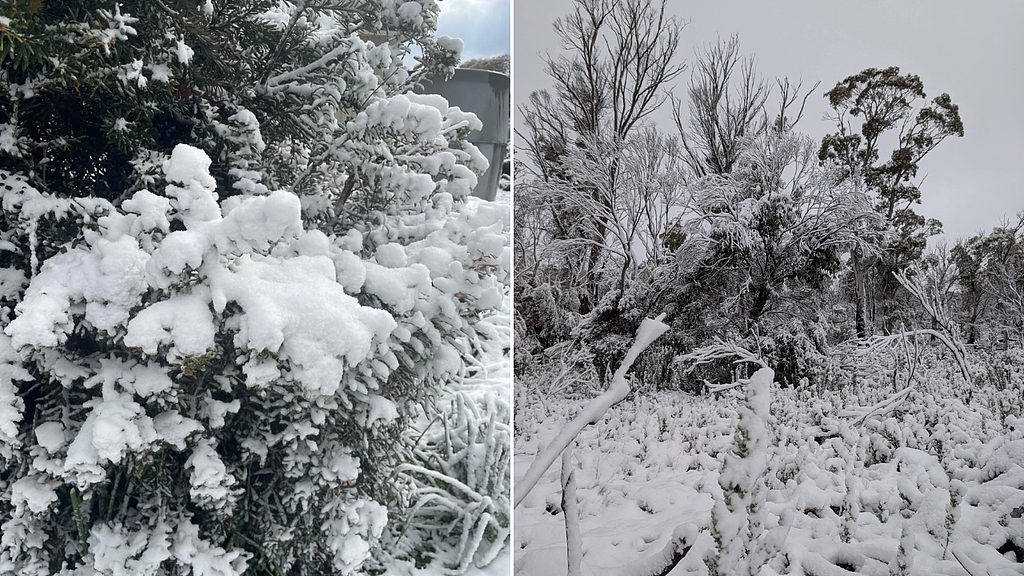 澳洲部分地区罕见降雪，一早醒来喜迎“白色圣诞节”！气象专家：上一次还是19年前（组图） - 3
