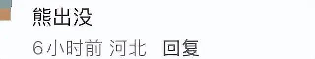李湘-30度哈尔滨穿纱裙细跟鞋，黑色大衣虎背熊腰（组图） - 4