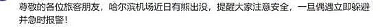 李湘-30度哈尔滨穿纱裙细跟鞋，黑色大衣虎背熊腰（组图） - 5