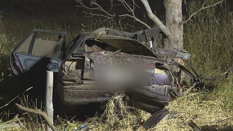 澳小车撞树酿惨烈车祸，致1死3伤！（组图） - 3