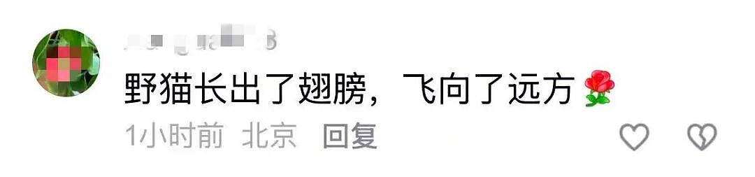 “性感小猫”碧姬芭铎去世,一生四婚情史丰富!网友:令人惋惜的一代巨星(组图) - 16