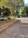 Chatswood  Victor St