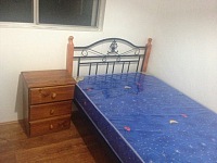 Burwood  阳光靓房 单间 招租