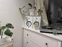 Wolli Creek  2b2b整租带家具长租
