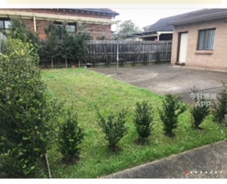 今日珀斯Burwood 转租特价 近火车站 房间带新独立卫生间 后院独立门户进出双砖HOUSE房间 Burwood 转租特价 近火车站 房间带新独立卫生间 后院独立门户进出双砖HOUSE房间