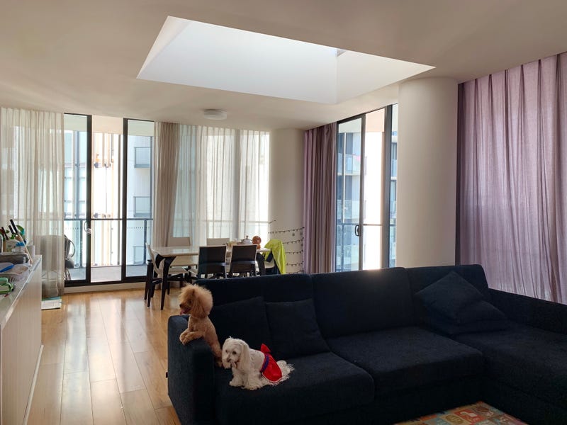 今日墨尔本Zetland 顶楼豪宅出租 双车位 全景落地窗 步行Green Squ Zetland 顶楼豪宅出租 双车位 全景落地窗 步行Green Squ