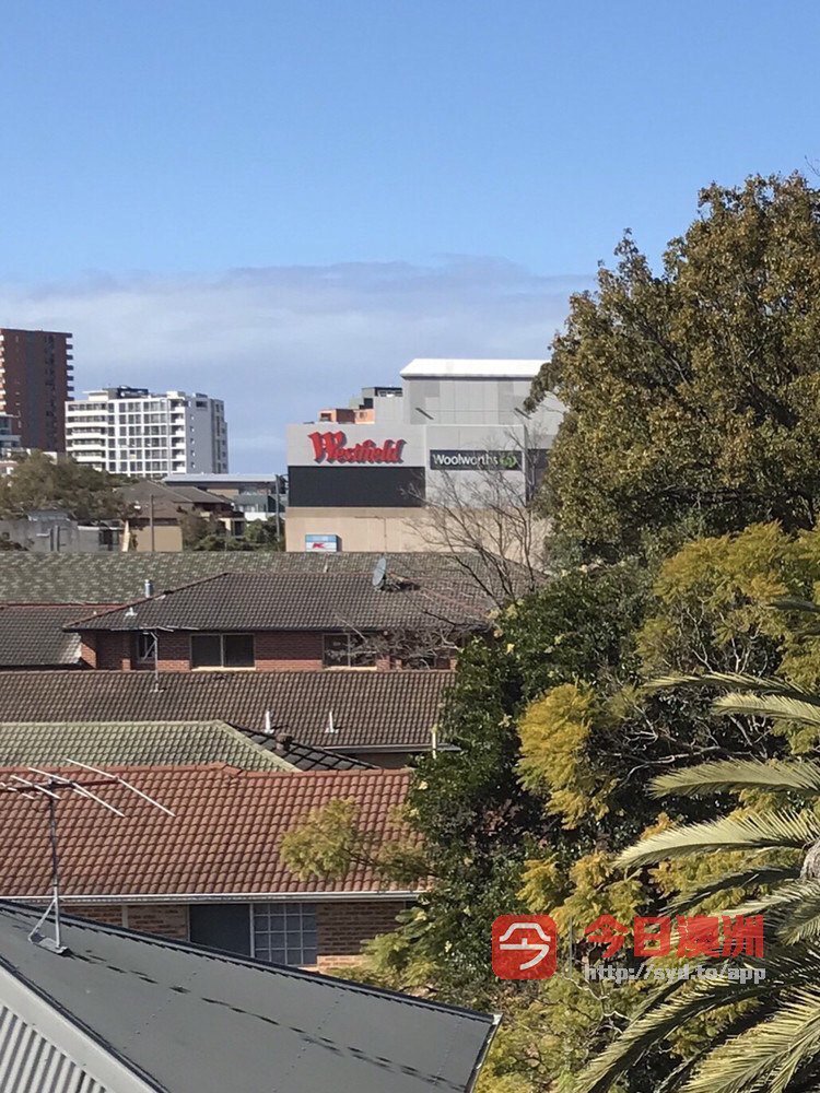 今日悉尼Hurstville 一房出租招一人 Hurstville 一房出租招一人