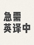 找一个中文翻译
