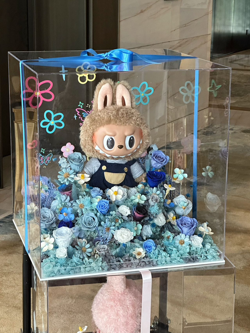 今日墨尔本悉尼Labubu 悉尼Labubu