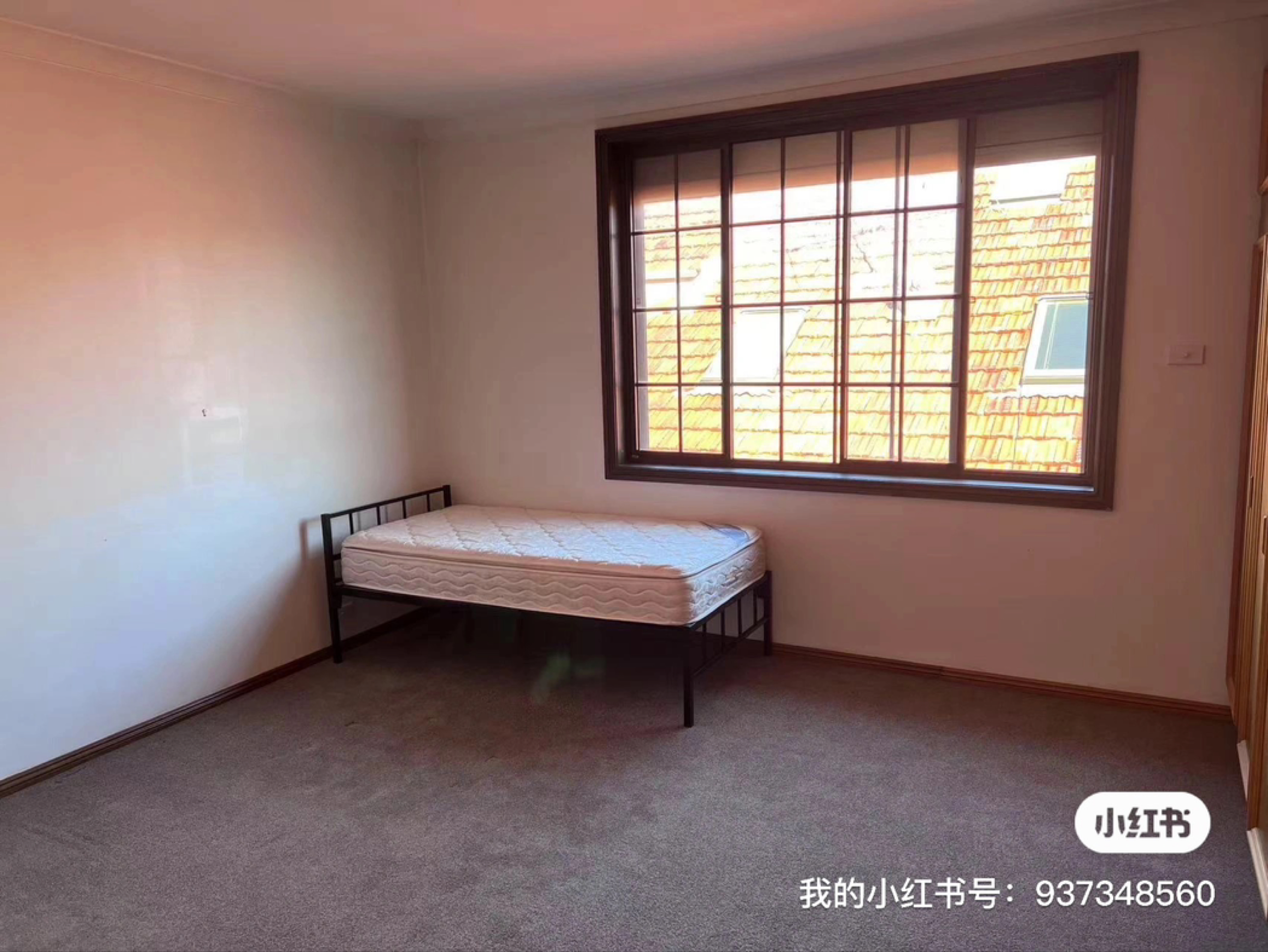 今日墨尔本Maroubra 近UNSW 大房290 起主卧独卫400 Maroubra 近UNSW 大房290 起主卧独卫400
