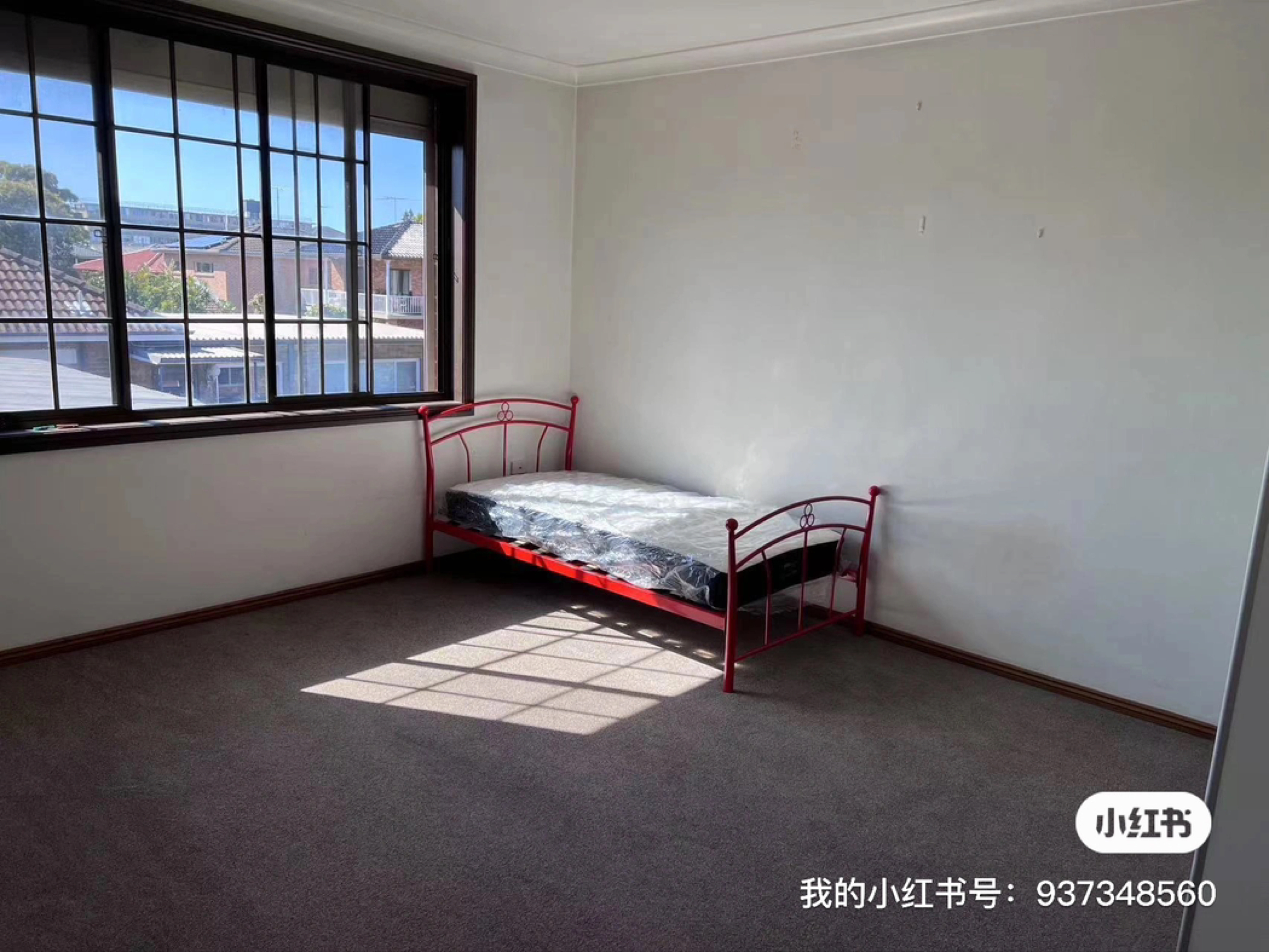 今日墨尔本Maroubra 近UNSW 大房290 起主卧独卫400 Maroubra 近UNSW 大房290 起主卧独卫400