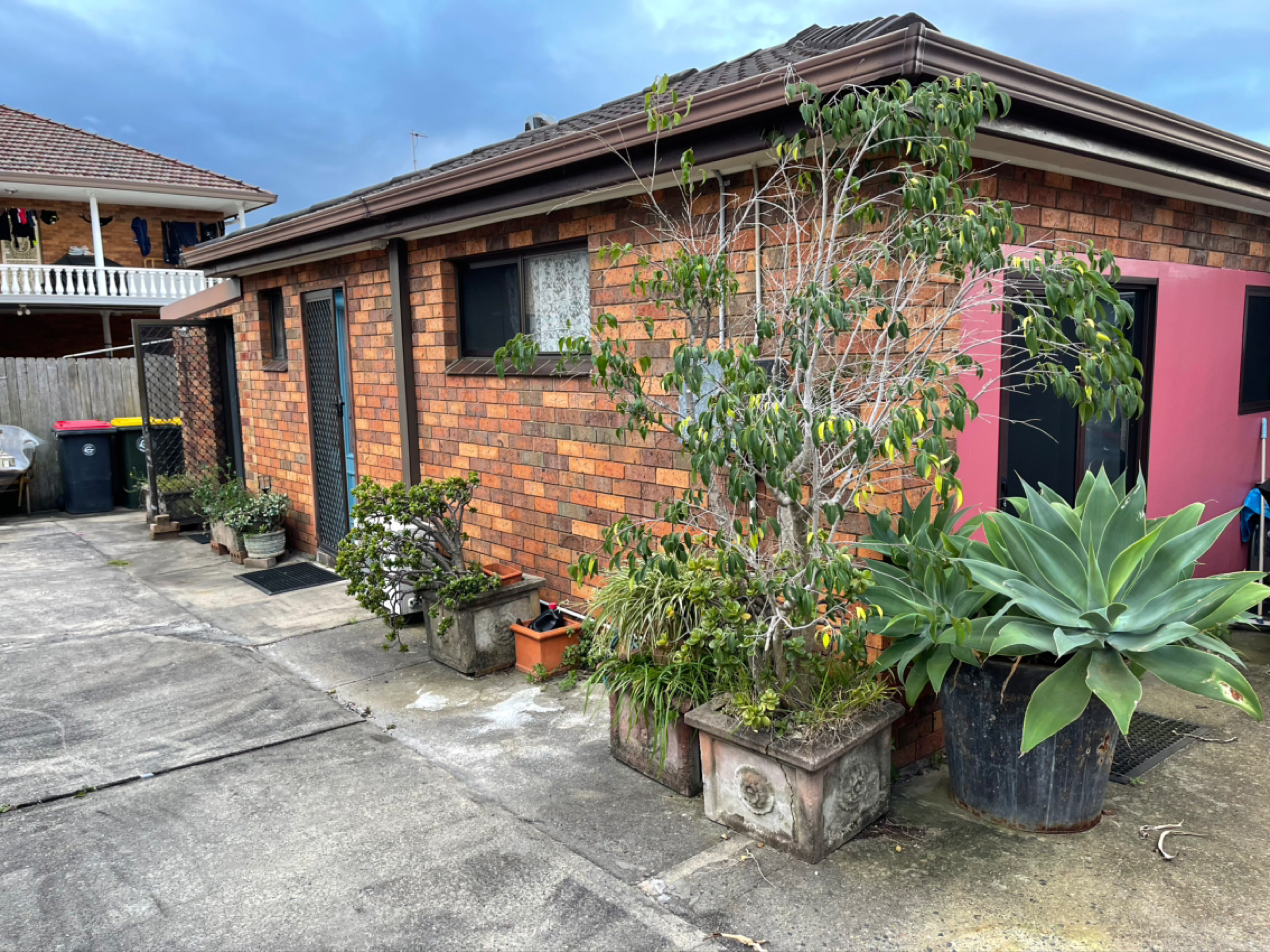 今日悉尼Campsie Amy st大房单人290元Kingsgrove 270元0409318986 Campsie Amy st大房单人290元Kingsgrove 270元0409318986