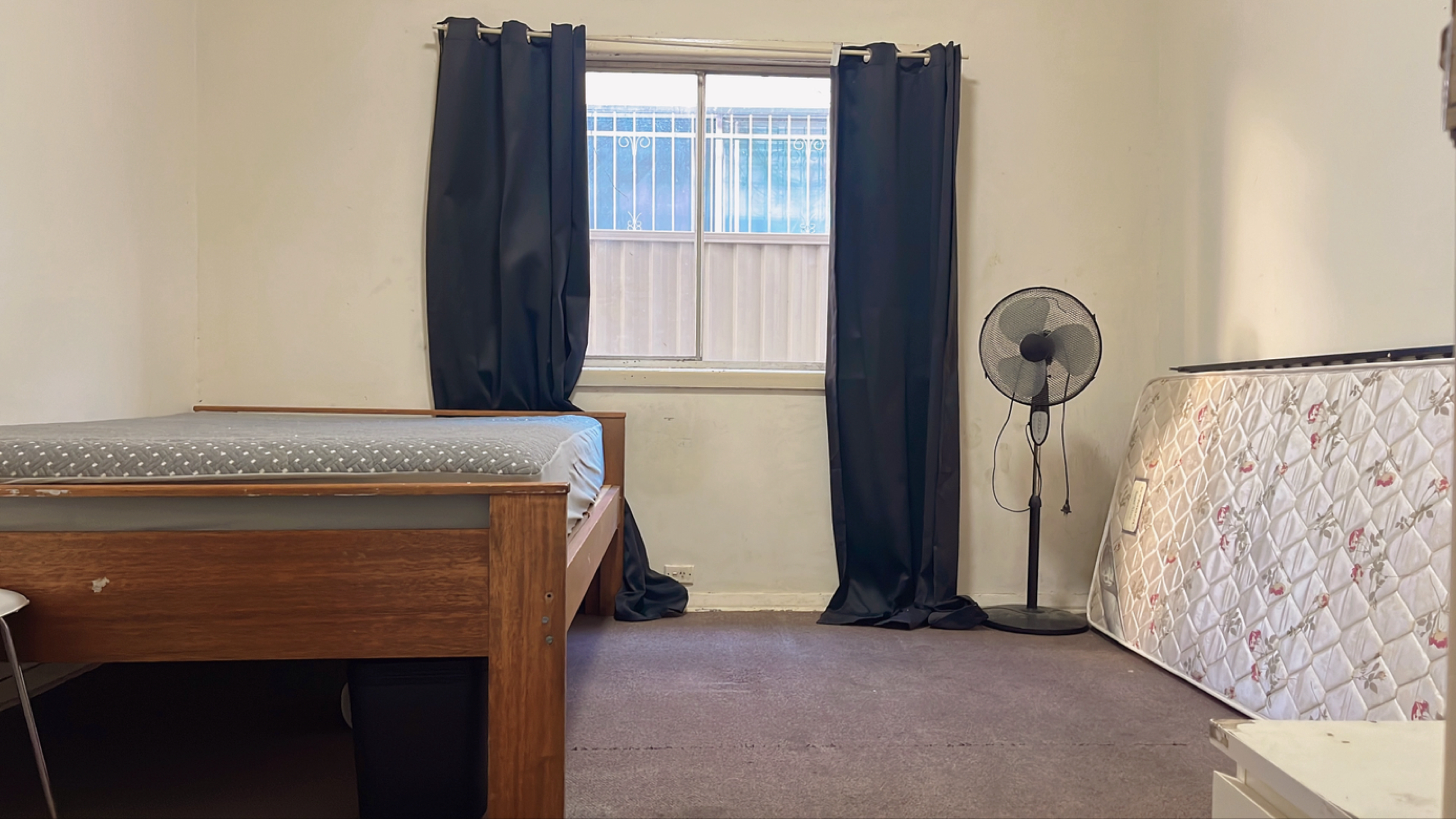 今日悉尼Campsie 出租房屋 Campsie 出租房屋