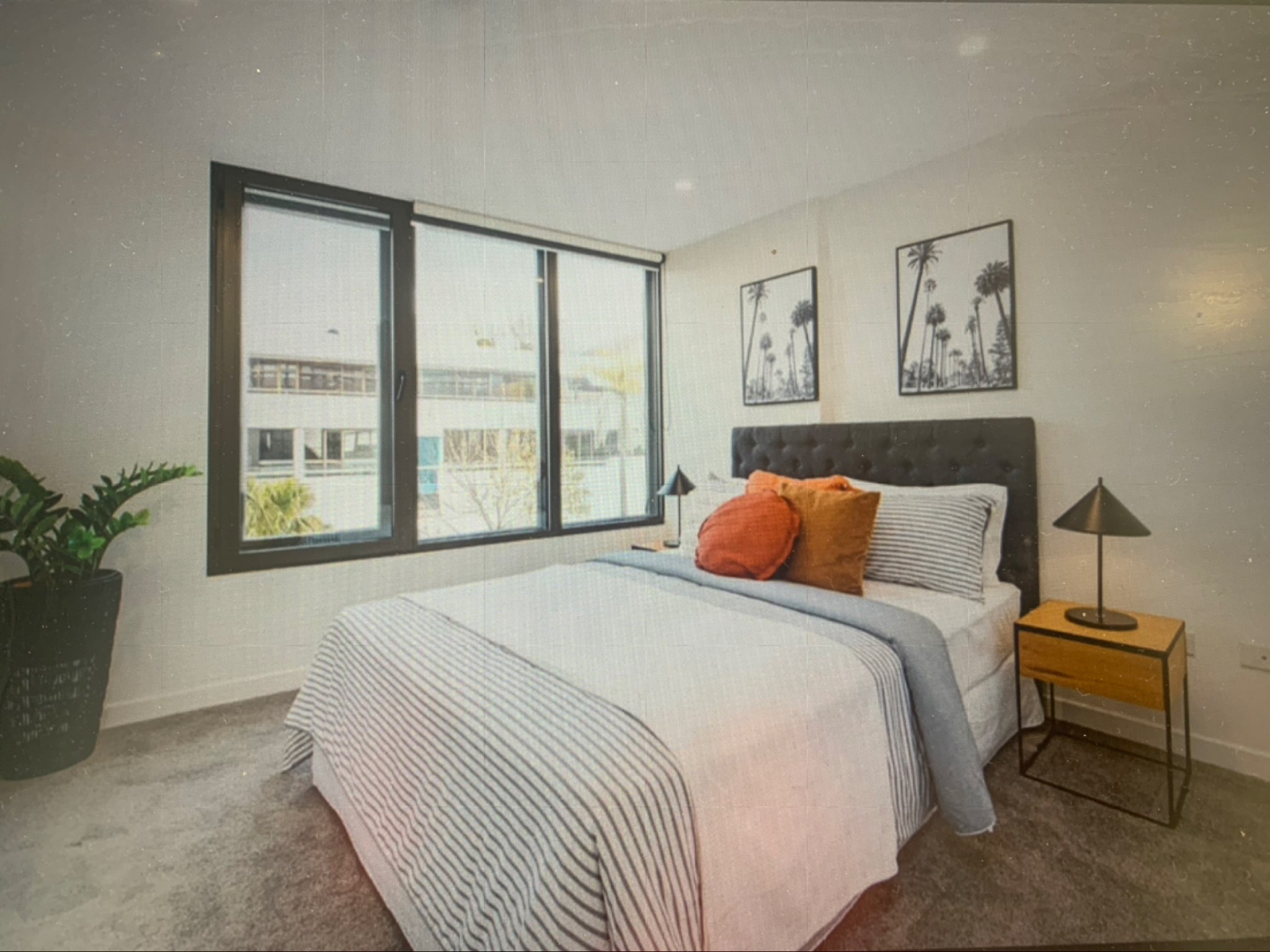 今日悉尼Neutral Bay 中心 含车位Ensuite主卧出租 Neutral Bay 中心 含车位Ensuite主卧出租