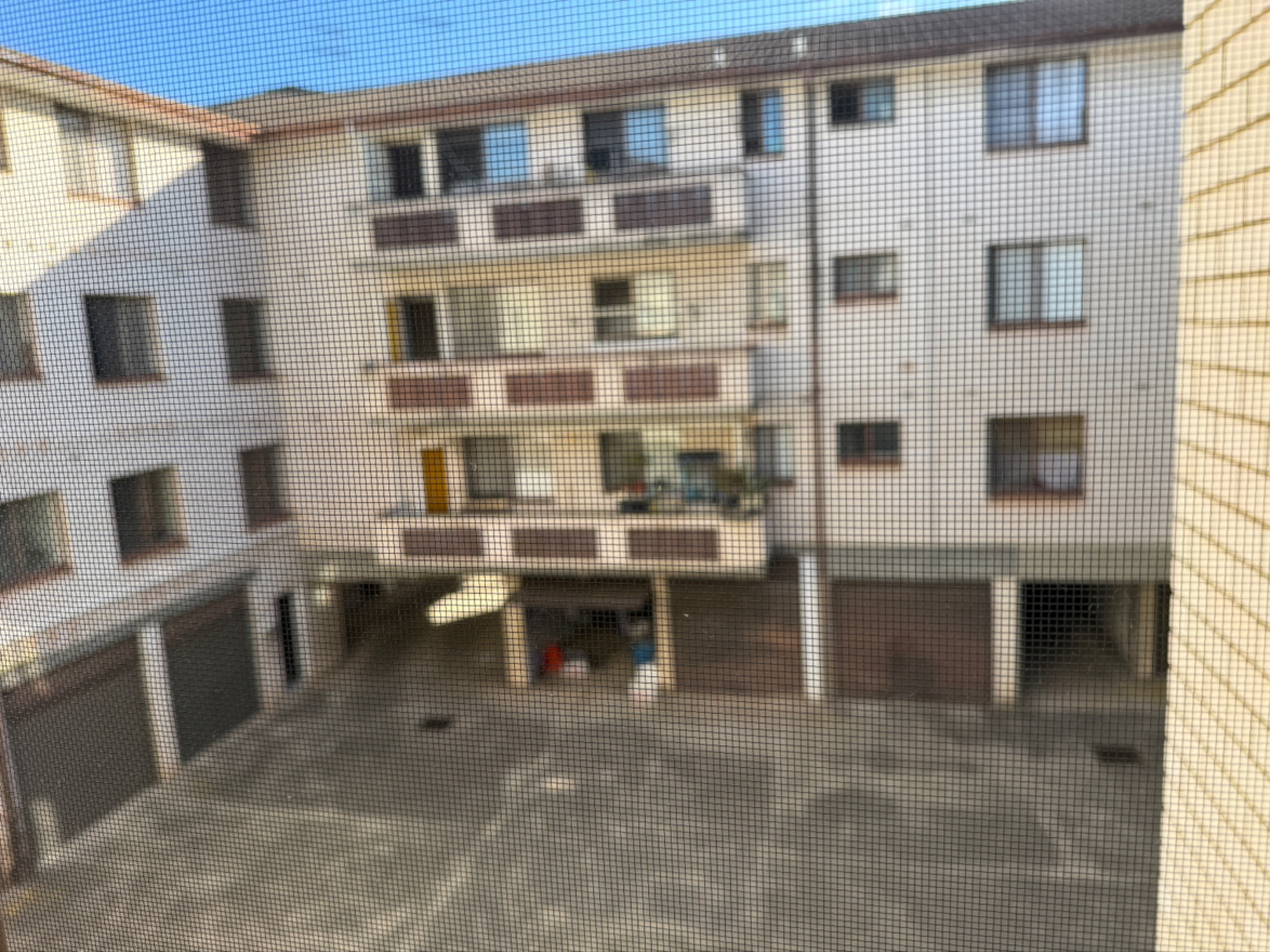 今日悉尼Fairfield 單間出租 Fairfield 單間出租