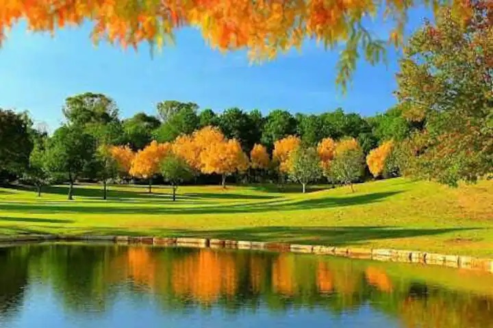 今日基隆Blacktown Doonside 兩大房出租 區 Blacktown Doonside 兩大房出租 區